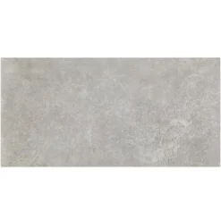 Malaga Greige 12 in. x 24 in. x 9.5 mm Matte Porcelain Floor and Wall Tile (8 pieces / 15.49 sq. ft. / box) by Ivy Hill Tile